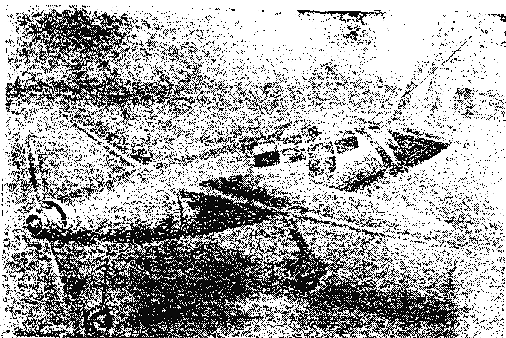 239画像