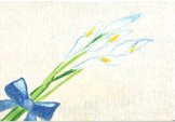 Y09-�J���[