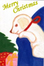 Y24-Xmas���g
