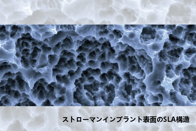 ストローマンインプラント表面のSLA構造