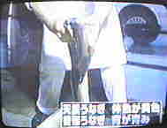 �P�D�W�L��