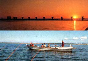 ������̂͂��ނ�