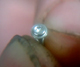 �v�g�k���˂�