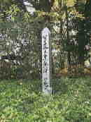 �ʐ^�H�Ɣ��˂̒n