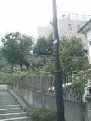 �ؓ�疗y�����