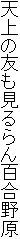 V̗FS쌴