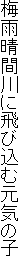 ~JԐɔэތC̎q