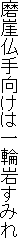 R͈֊₷݂