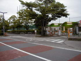 ミュージアム前