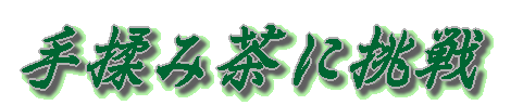 手揉み茶に挑戦