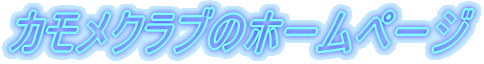 JNũz[y[W