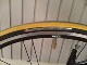 Vittoria RUBINO PRO2 (23c)