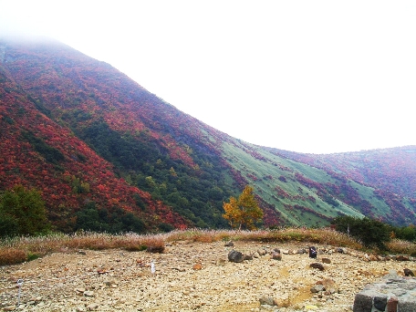 紅葉の朝日岳