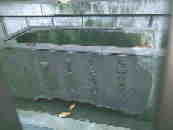 ��c�쐤����̐���