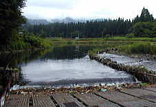 ����̂��