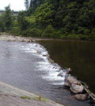 ��m�ւ̂��