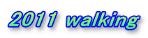 2011 walking
