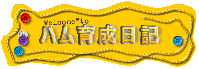 n琬L