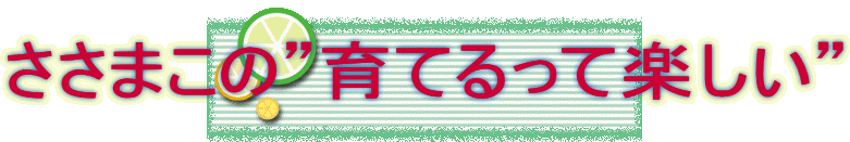 ܂́hĂĊyh
