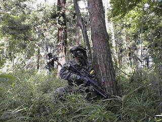 m-16