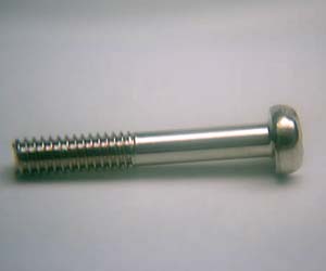 �i�x�v���}�C���˂�