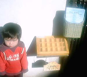 �l�W�̓W��