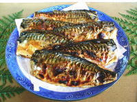 ���΂̉��Ă�