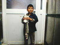 ���傤����