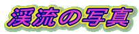 k̎ʐ^