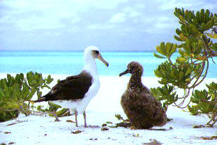 �R�A�z�E�h���@�e�q