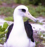 �R�A�z�E�h���@�A�b�v